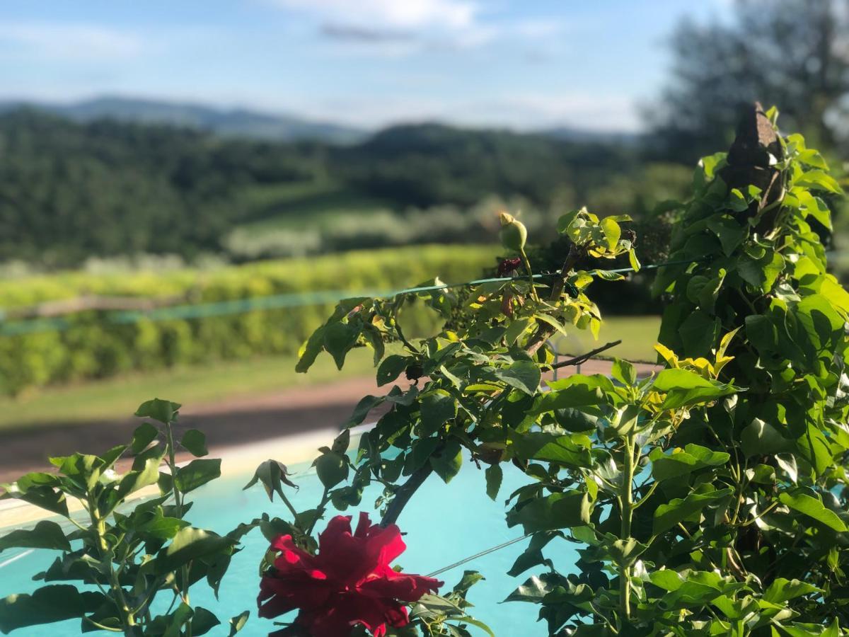 Villa Il Leccio Strada in Chianti Exterior photo