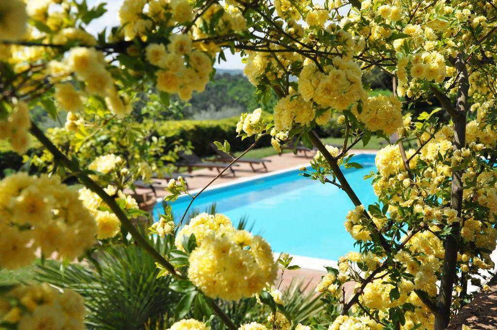 Villa Il Leccio Strada in Chianti Exterior photo